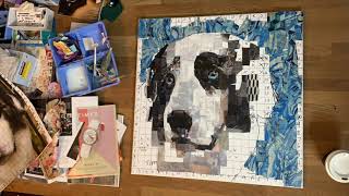 Collage of Panda-Time Lapse