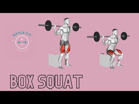 Box squats (decline bench)