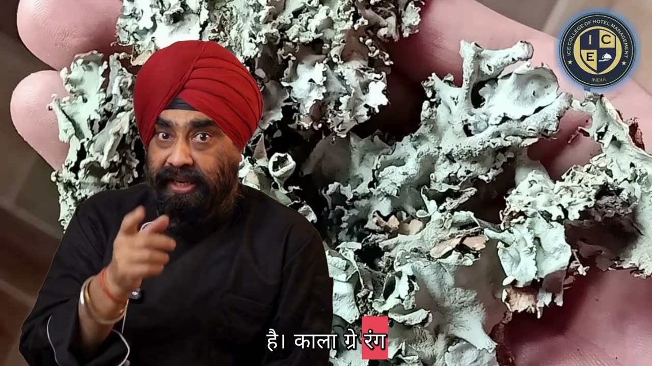 Dagad Phool -  Indian Culinary Terms, Food Producation, ICE COLLEGE OF HOTEL MANAGEMENT