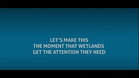 Wetlands are central to water resilience