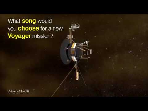 policy genius Voyager's golden record