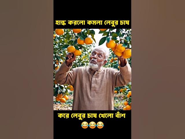 হাল্ক করলো কমলা লেবুর চাষ 😂🤣 Hulk Funny Video #shorts #shortsfeed #funny #bangla #hulk #ai