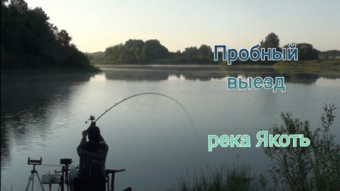 Летняя рыбалка на реке Якоть в Дмитровском районе - информация и рекомендации