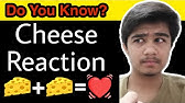 Cheese Reaction Tyramine Sympathomimetics In Malayalam Youtube