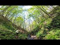 2019年5月9日 潮騒の滝 フラワートレッキングツアー