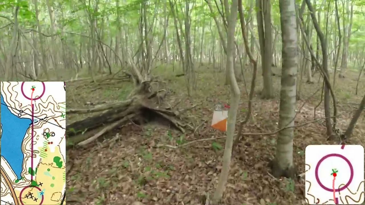 Sapporo OLC 2025 Middle M21E