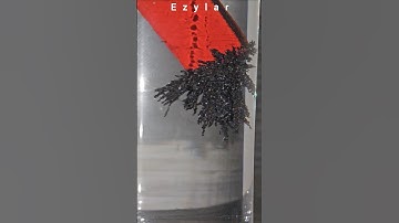 Magnetic field in water -Magnetic power experiment #experiements #science #ytshorts #shorts #physics