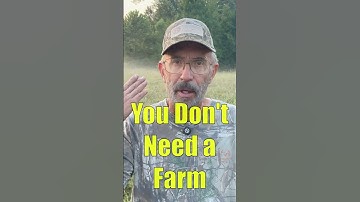 Resilience: The Secret to Surviving Any Storm