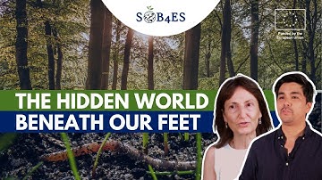 Making SOIL BIODIVERSITY visible to SOCIETY | EU-Funded SOB4ES Project