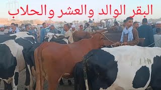 Information أجمل اسعار للبقر الوالد والعشر والحلاب بسوق السبت اليوم ٢٦/ ٩/ ٢٠٢٦م Guide