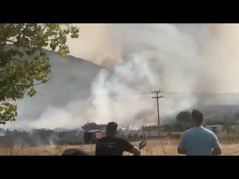 Νέα φωτιά στην Εύβοια - Μέτωπο στο νεκροταφείο στη Χαλκίδα