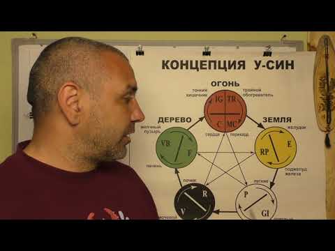 Знакомство с Чудесными Меридианами в Акупунктуре. Видео 1.