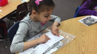 LLI Reading