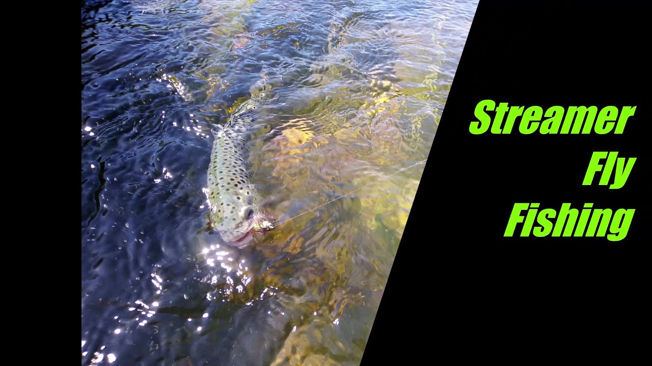 Streamer fly fishing YouTube