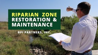 Riparian Zone Restoration & Maintenance in Austin, TX with BPI Partners