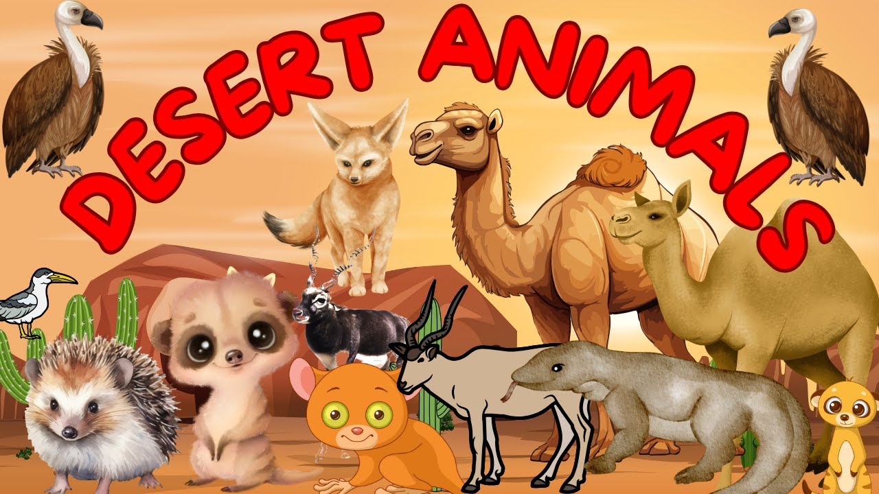 Desert Animals | Desert Animals for kids | Animals for Kids | Kids ...