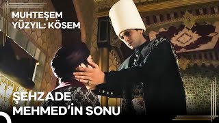 Genç Osman'ın Saltanatı "Sultan Osman, Kardeş Katlini Yeniden Başlattı''| Muhteşem Yüzyıl: Kösem