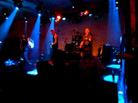 Freunde - Drunken Swallows
