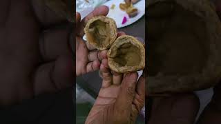 Baati Chokha Scam. #baatichokha #gorakhpur #food #lucknow #indiancuisine #tastyfood #tasty #travel