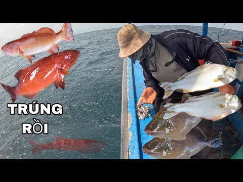 948 .) NGHỈ BA NGÀY, RA HỐT GẠO.