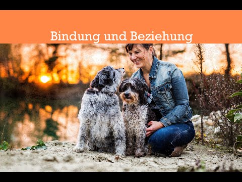 Video: Nazis Trainierten Hunde Zum Sprechen, Lesen Und Buchstabieren