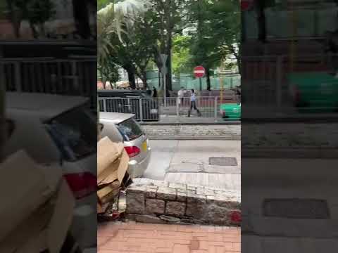 花都有隻狗發癲