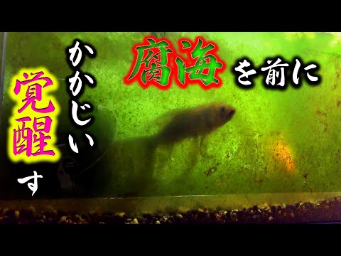 好き なのに 届か なく て 歌詞 好き なのに 届か なく て 歌詞