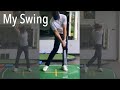 My swing steven giuliano cv