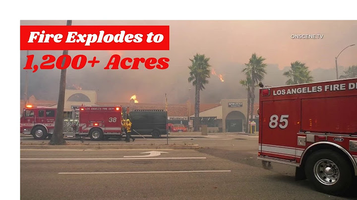 Structures Burn as Palisades Fire Explodes to 1,200+ Acres