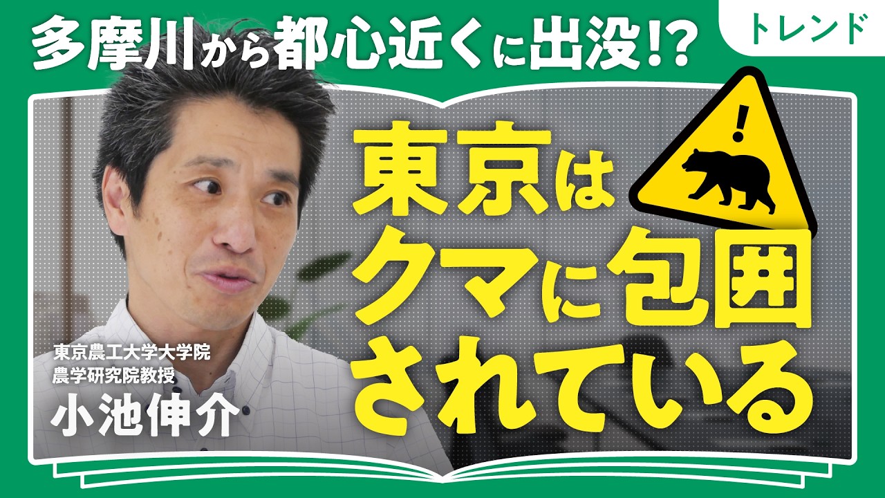 【東京はクマに包囲されている】多摩川から都心近くに現れる可能性も？｜1年に必要なカロリーの80%を秋に摂る｜登山・ハイキングでの注意点｜小池伸介教授「クマ被害は劇的にゼロにならない」（第1回／全2回）