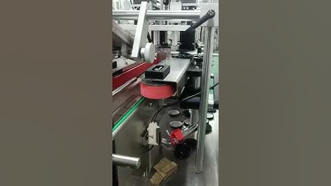 Production Line Fully Automatic Capping Machine with Cap Feeder for Glass Bottle Aluminum Cover cap