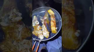 Campfire fish in the dark on a solo wild camp on a remote beach 🐟 🔥 ⛺️