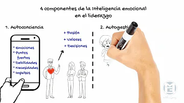 ¿Qué es la inteligencia emocional en el liderazgo?