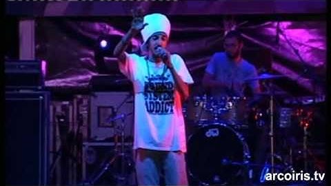 Mellow Mood - Rototom Sunsplash 2011