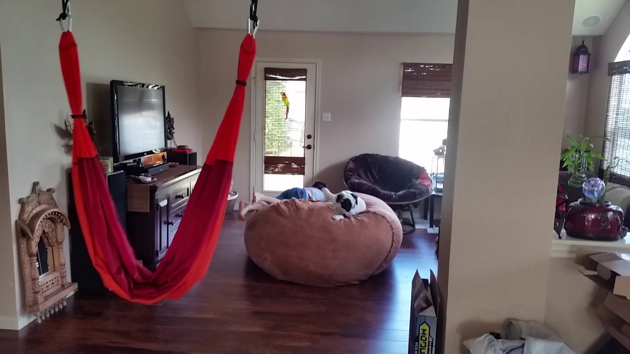 The Bean Bag Is Back! YouTube