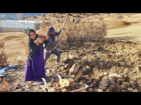 بنوا بيت ا بأيد فارغة حب هز العالم 