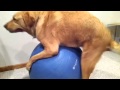 Tyga- Make It Nasty Dog Mp3