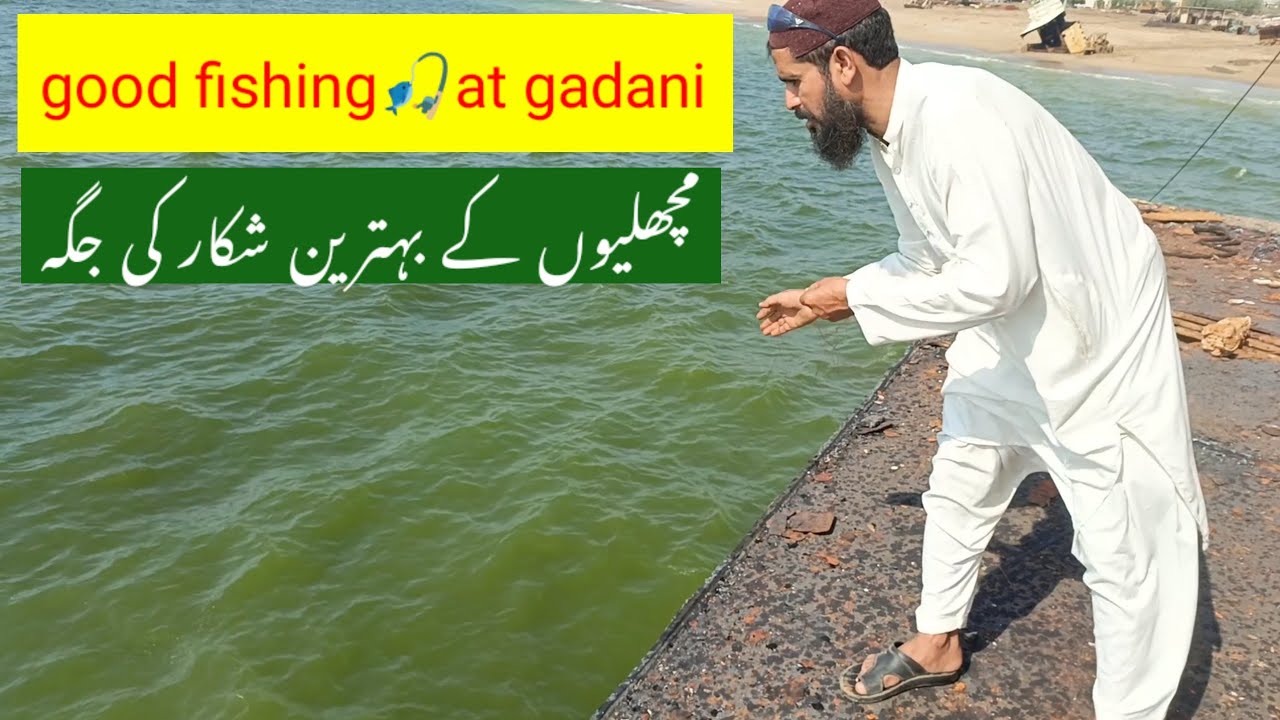 fishing video at gadani sea, bass fishing, fishing freaks, fishing, M