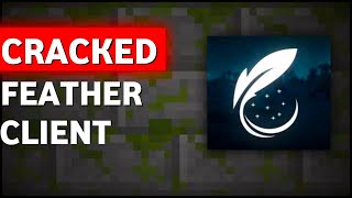 feather client for free cracked!