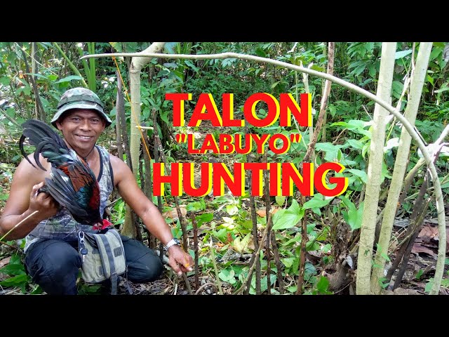 TALON LABUYO HUNTING SA MT. MAYON // JUAN LAGALAG class=