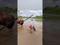 Unbelievable bamboo hook trap with chicken liver #fish #fishing #trap #shorts #ytshort #fish_trap