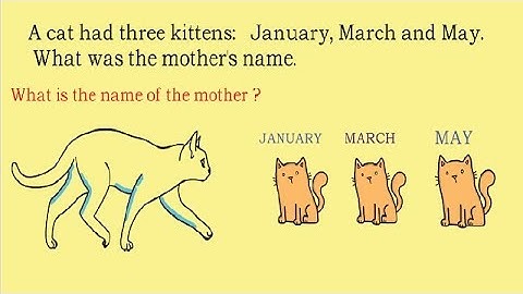 Most Brilliant IAS Interview Questions with Answers ||Ytb facts revealed