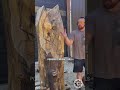 From Log to Legendary: Chainsaw Dragon Sculpture Revealed 🐉
