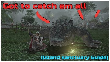 How to catch all rare animals for your island sanctuary pasture