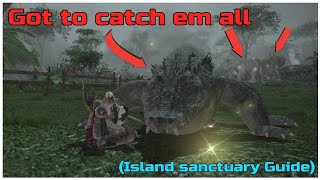 How to catch all rare animals for your island sanctuary pasture