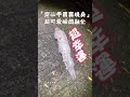 生活趣事分享