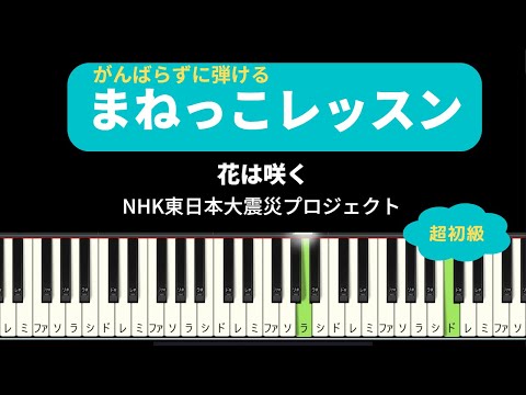 【まねっこ練習】花は咲く【超初心者向け】