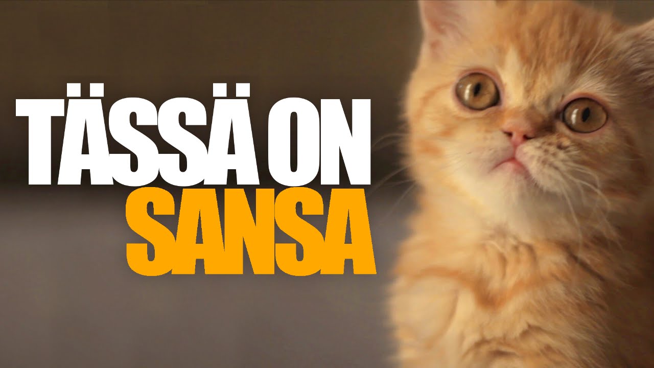 Tässä on Sansa - YouTube
