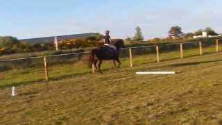 Flatwork with Donny