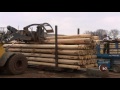 MJ's How It's Made - Wood Utility Poles MJ's How It's Made - Wood Utility Poles